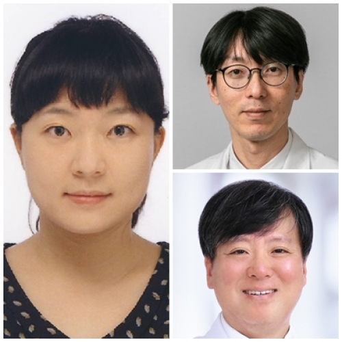 [J Breast Cancer.] Patterns and Longitudinal Changes in the Practice of Breast Cancer Radiotherapy in Korea: Korean Radiation Oncology Group 22-01