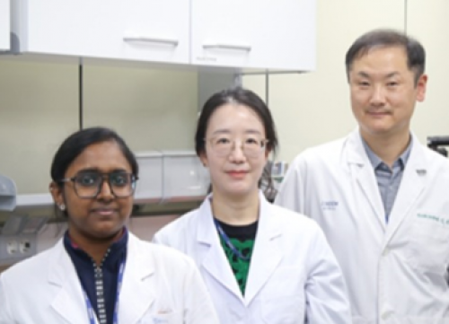 [Journal of Hazardous Materials Advances] Nanoplastics cause an increased risk of Parkinson’s disease compared to microplastics at environmental exposure levels