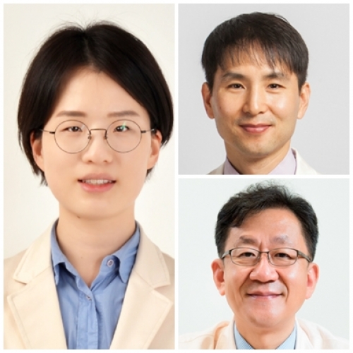 [Radiother Oncol .] Risk-based selection of treatment strategies in hepatocellular carcinoma with macrovascular invasion