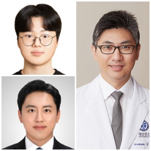 [Med Phys .] Development and validation of an automated, accurate in-house treatment planning system for pencil-beam scanning carbon ion radiotherapy