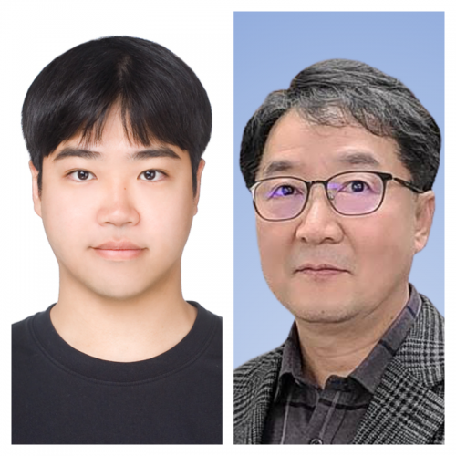 [Phys Med Biol .] Fetal specific absorbed fractions of ICRP pregnant-female mesh phantoms: methodology and dosimetric trends