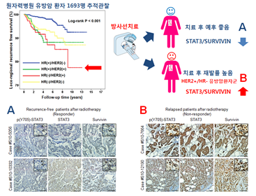 [Oncotarget] STAT3-survivin signaling mediates a poor response to radiotherapy in HER2-positive breast cancers.